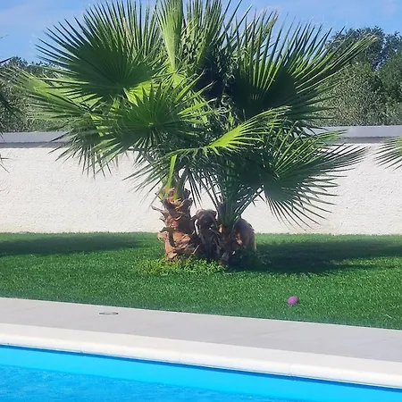 Polis Βίλα Policnik